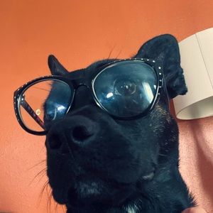 Meet your Posher, Piper